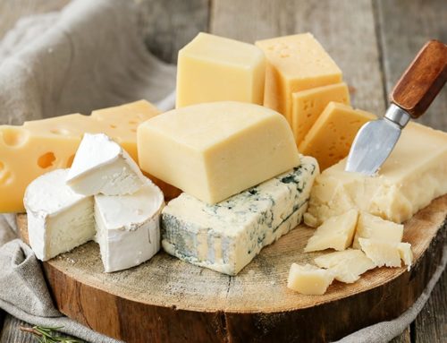 Fabrication artisanale de fromages en Suisse par la fromagerie Moléson