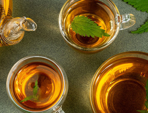 Jaym CBD TEA, la boutique de choix pour acheter vos thés au CBD biologiques
