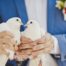 Pour quel évènement organiser un lâcher de colombes en Île-de-France ?
