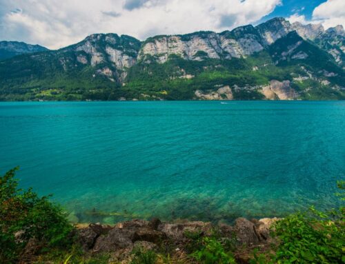 Le Lac de Clarens, une destination éco-touristique en pleine expansion !