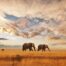 Les plus beaux parcs nationaux du Kenya à explorer absolument