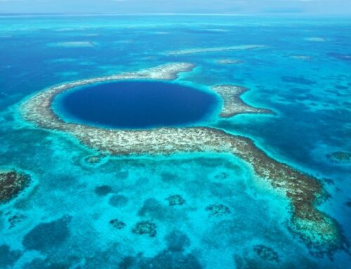 Top 5 des plus beaux spots de plongée de la mer des Caraïbes