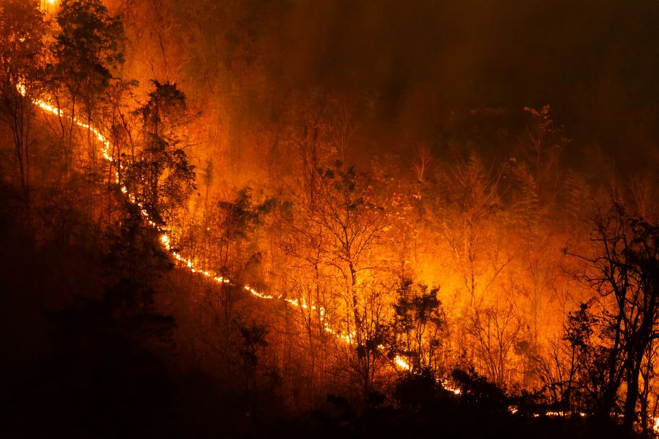 Incendies dans le Var : comment lutter contre ce fléau récurrent ?