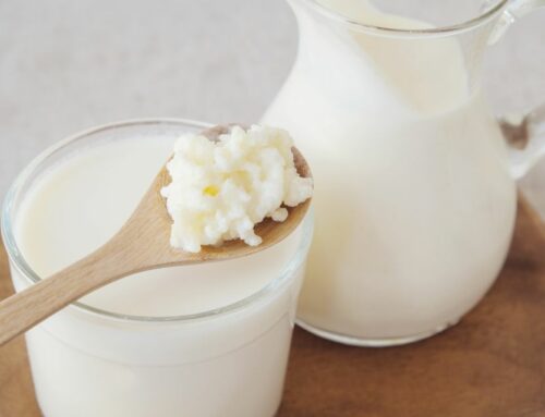 Kéfir ou kombucha : quelle boisson fermentée choisir ?