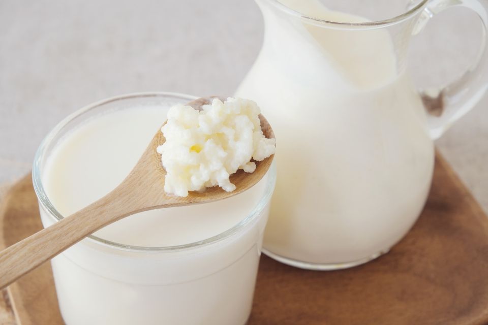 Kéfir ou kombucha : quelle boisson fermentée choisir ?