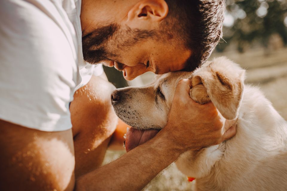 Peut-on trop aimer son chien ? Quand l’affection devient contre-productive