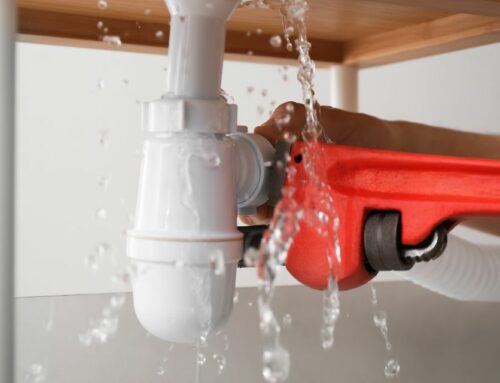 Comment repérer et prévenir les fuites d’eau dans votre logement ?