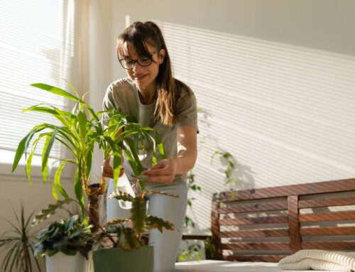 Le pardon après une séparation : est-il indispensable pour avancer ?