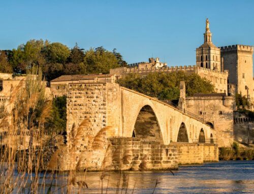 Séjour à Avignon, visitez le Vaucluse avec un chauffeur privé à Avignon
