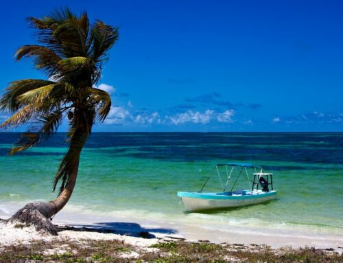 Excursions en bateau au Mexique : notre sélection des plus belles activités