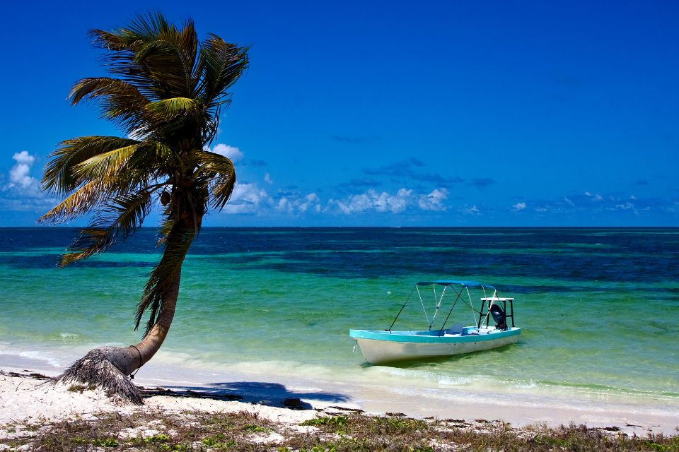Excursions en bateau au Mexique : notre sélection des plus belles activités